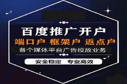 充值返点机制在社交平台的应用案例
